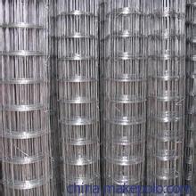 卓勛10mm*10mm電鍍鋅電焊網圖片,卓勛10mm*10mm電鍍鋅電焊網圖片大全,安平縣卓勛金屬絲網制品-