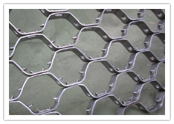 龜甲網(wǎng) - 價(jià)格:面議/平方米 - 河北永乾金屬絲網(wǎng)制品-價(jià)格庫-產(chǎn)品報(bào)價(jià)-價(jià)格中心